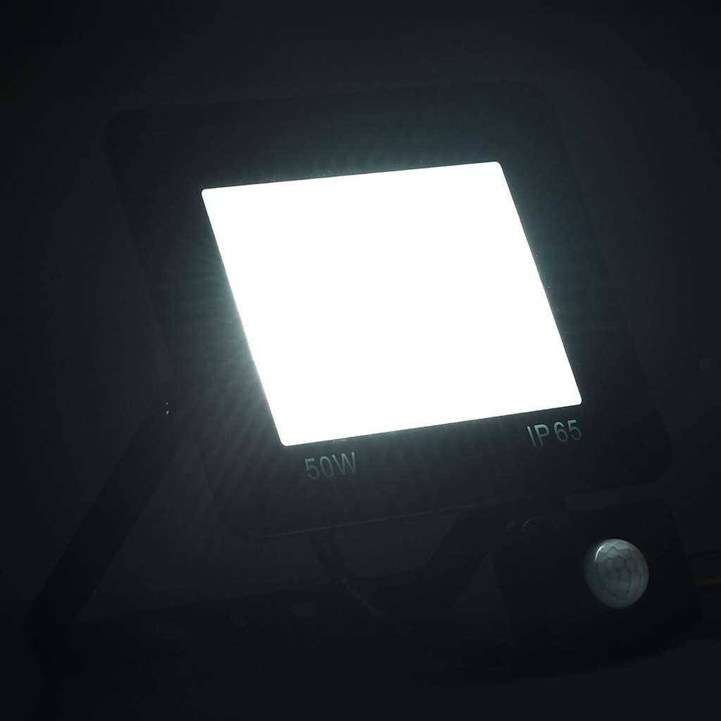 Anduriga LED prožektor, 50 W, külm valge