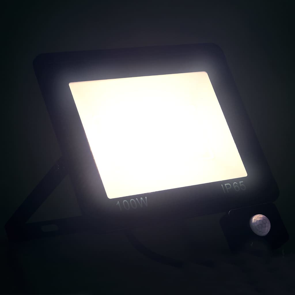 Anduriga LED-prožektor 100 W, külm valge