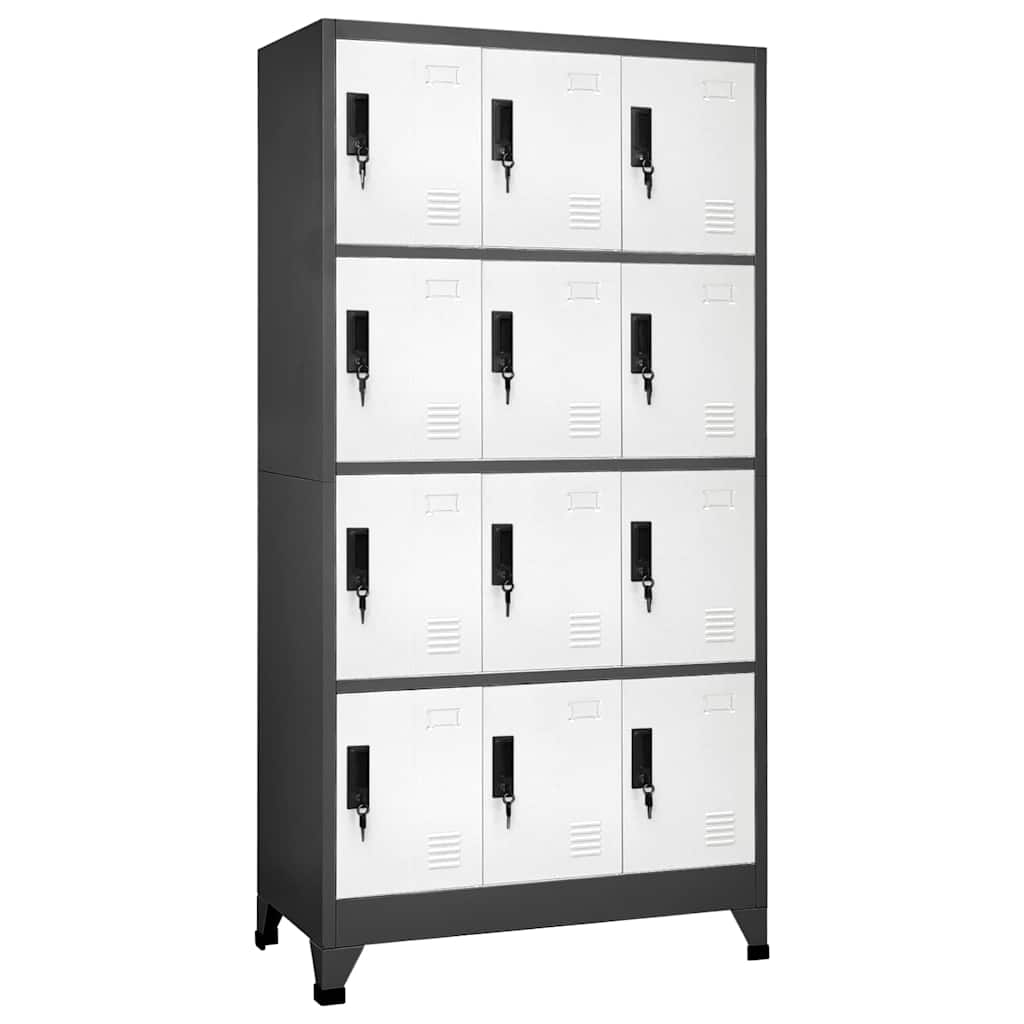 Lukustatav hoiukapp, antratsiit, valge, 90x45x180 cm, teras