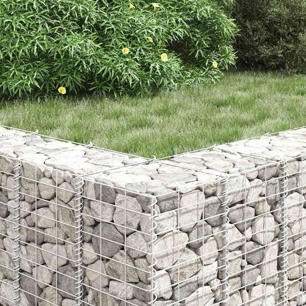 Gabioon taimelavad 4 tk, 30x30x50/100/150/200 cm, raud