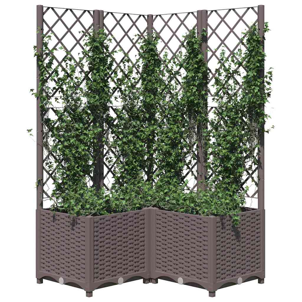 Võrega taimekast, pruun, 80 x 80 x 136 cm PP