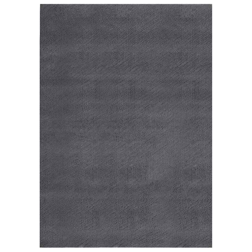 Pestav pehme vaip, 160x230 cm, libisemiskindel, antratsiit