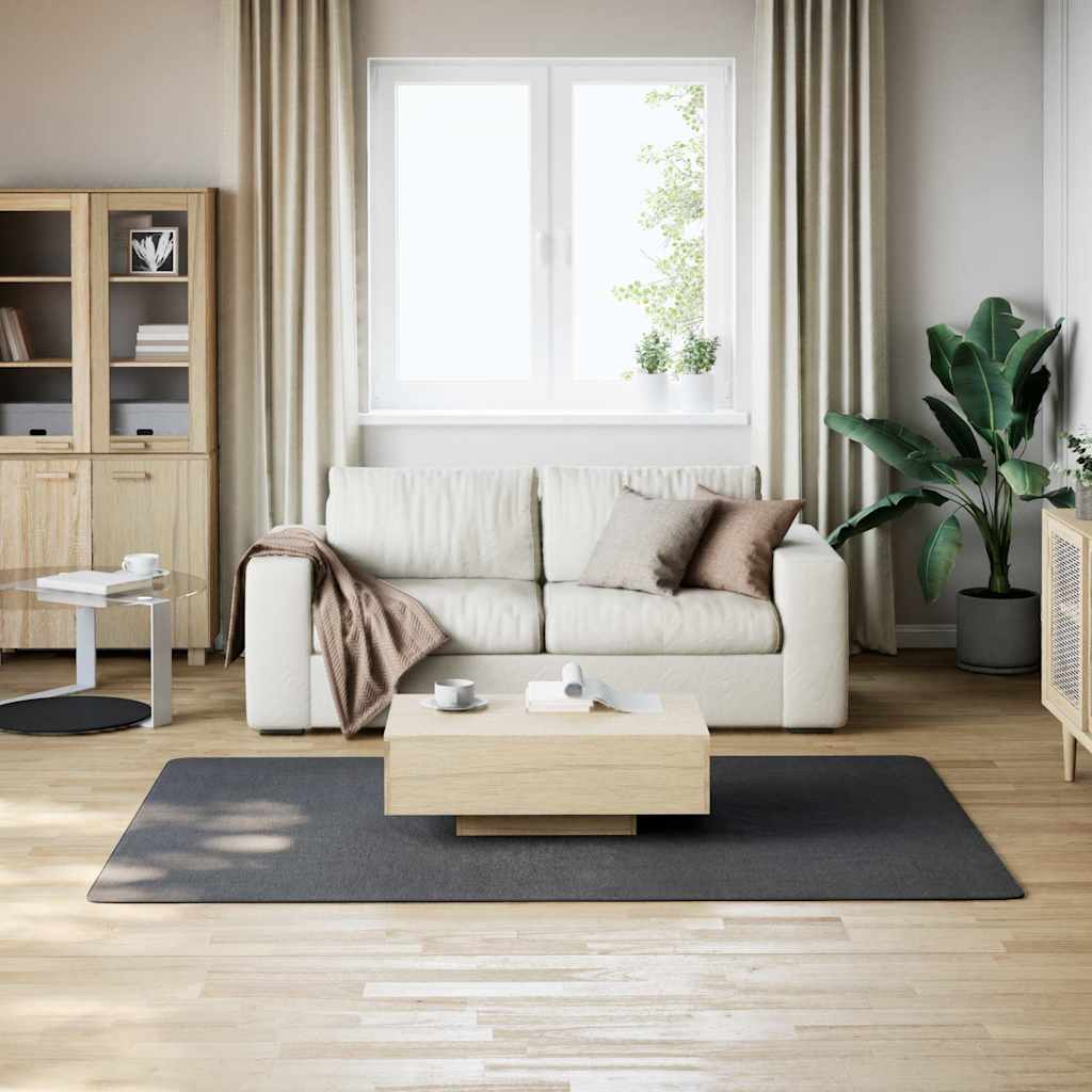 Pestav pehme vaip, 160x230 cm, libisemiskindel, antratsiit