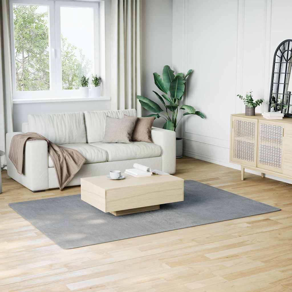 Pestav pehme vaip, 160x230 cm, libisemiskindel, hall