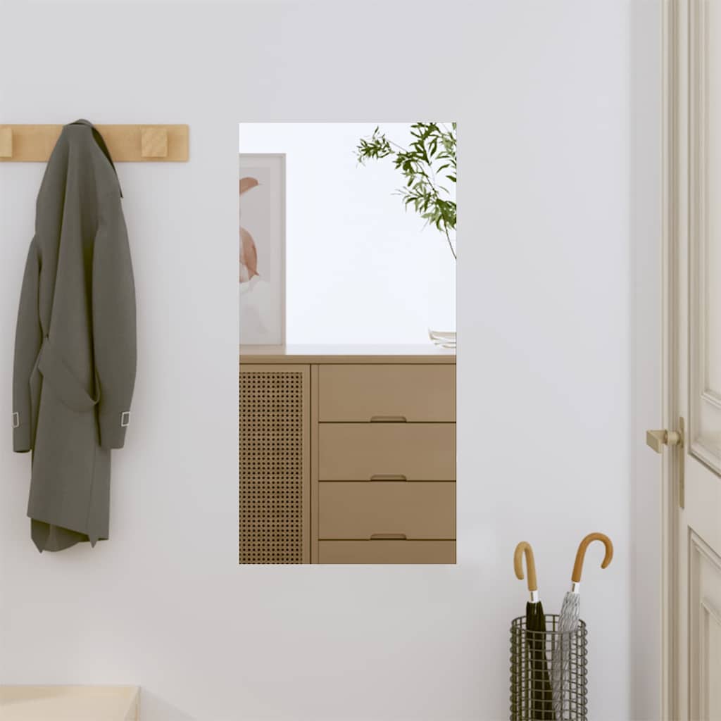 Seinapeegel, 30 x 60 cm, klaas, ristkülik