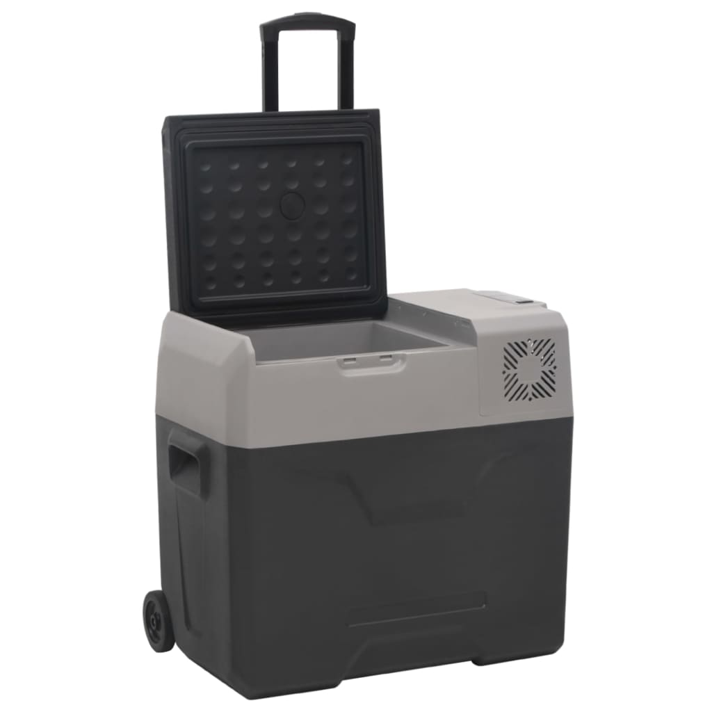 Rataste ja adapteriga jahutuskast, must ja hall, 30 l, PP