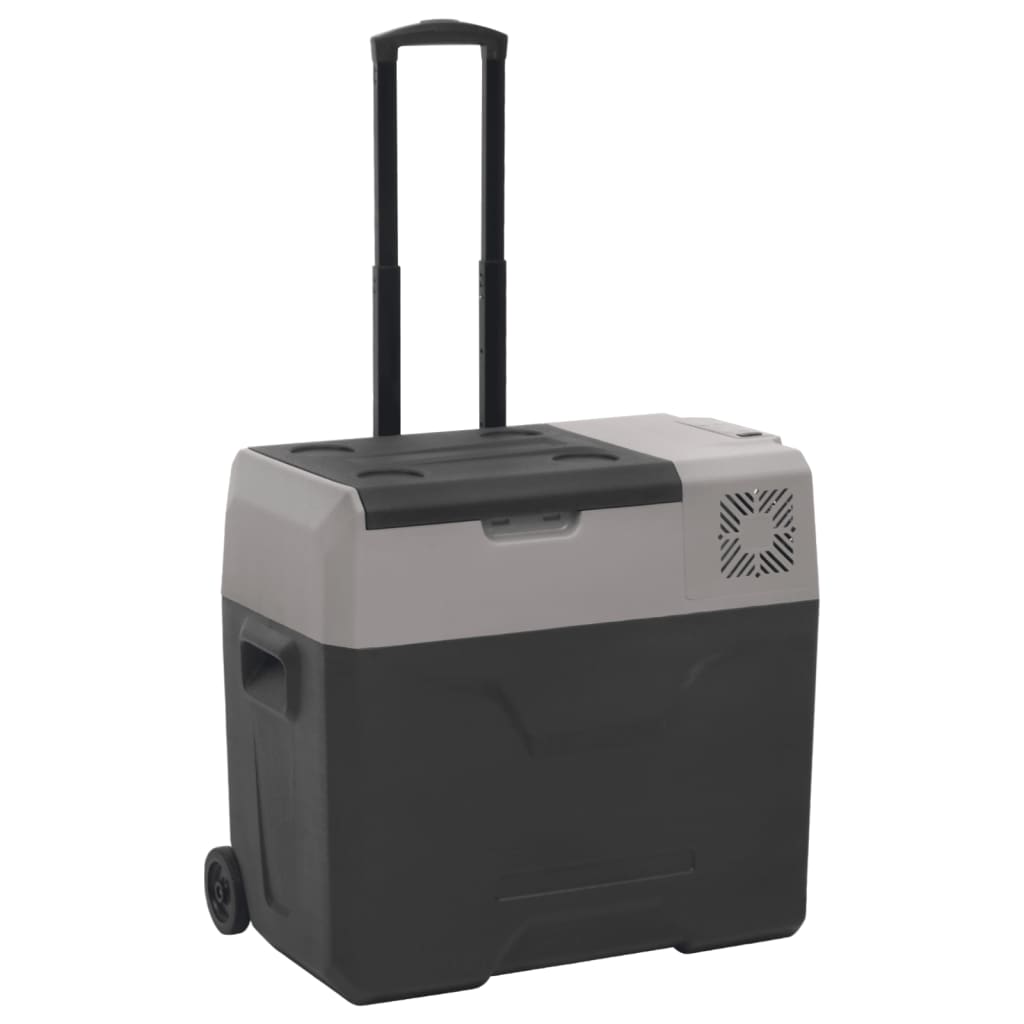 Rataste ja adapteriga jahutuskast, must ja hall, 40 l, PP