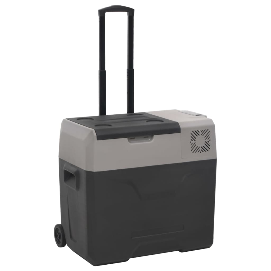 Rataste ja adapteriga jahutuskast, must ja hall, 50 l, PP