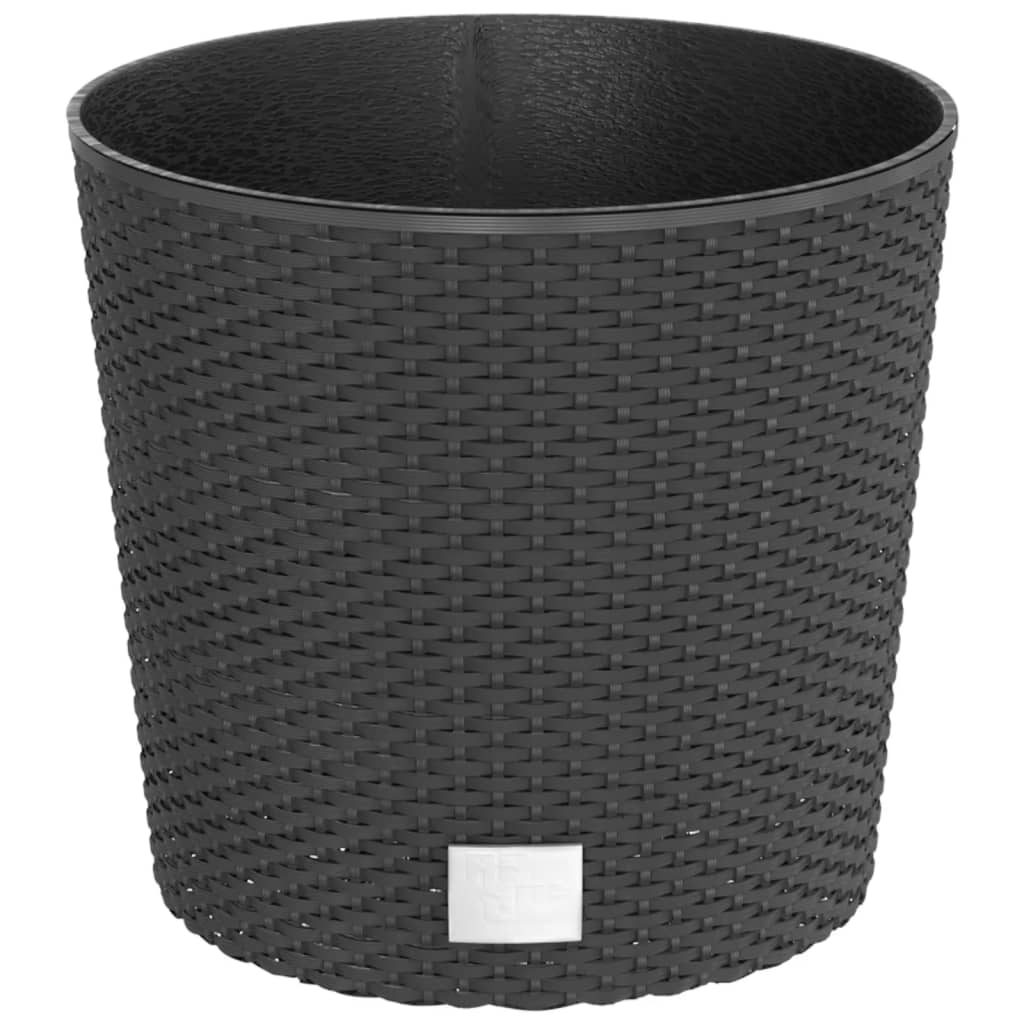Taimekast eemaldatava sisuga, antratsiithall,15/15,3l PP-rotang