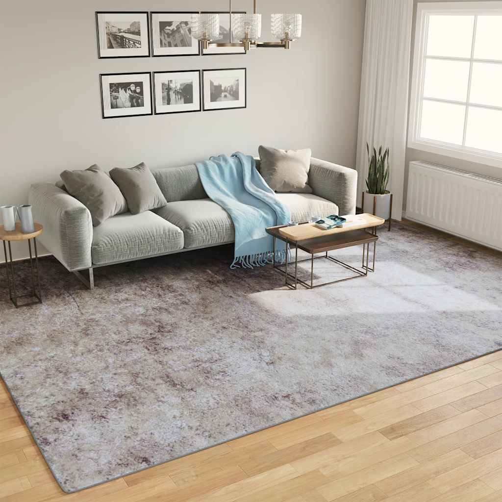 Vaip, hall, antratsiithall, 400 x 300 cm