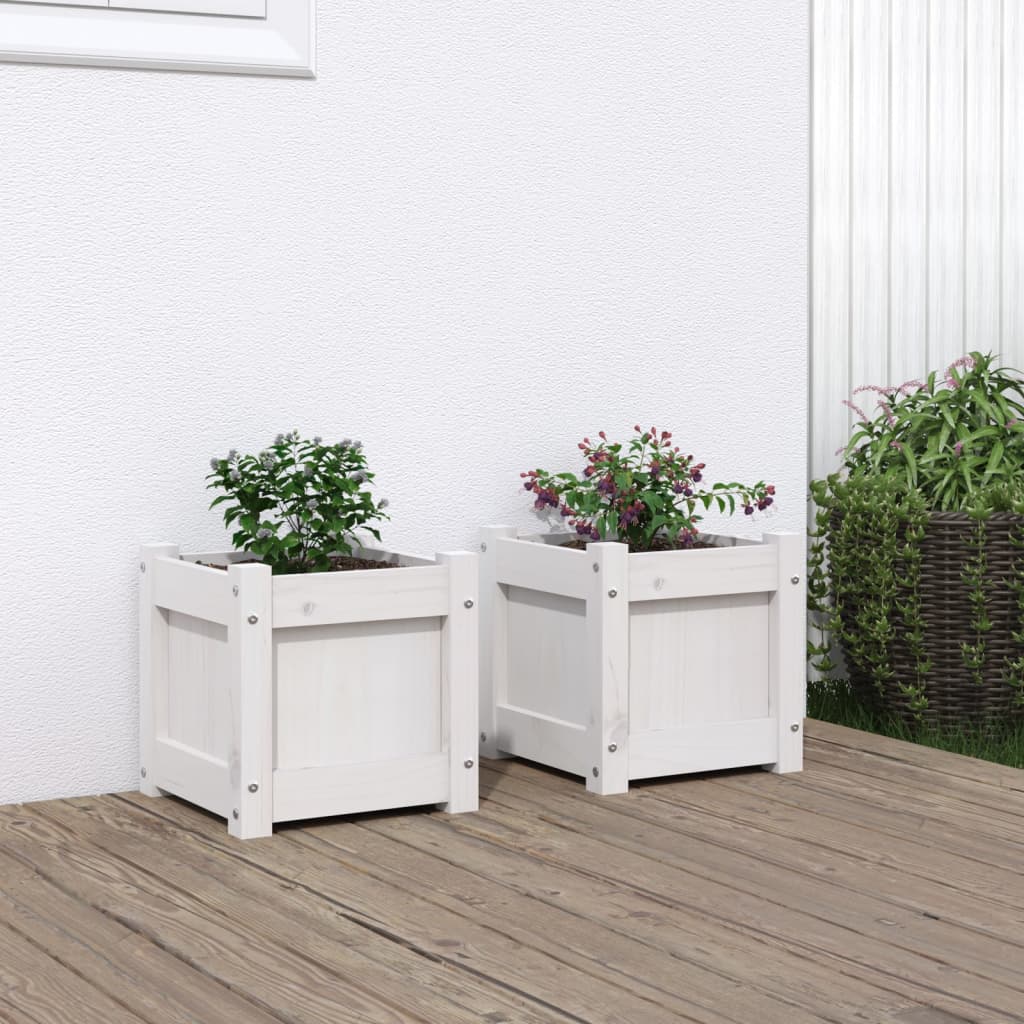 Aia taimekastid 2 tk, valge, männipuit