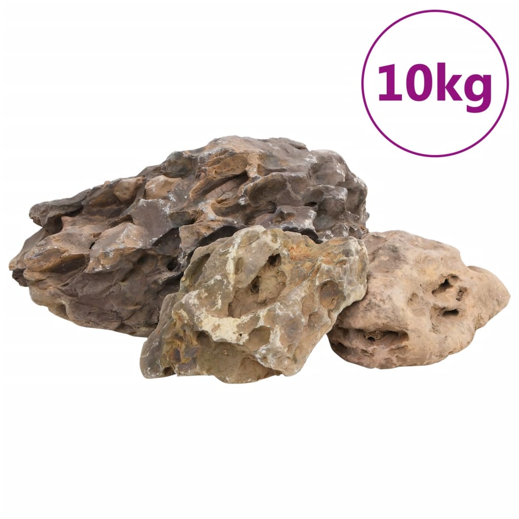 Dragon kivid, 10 kg, hall, 10-40 cm