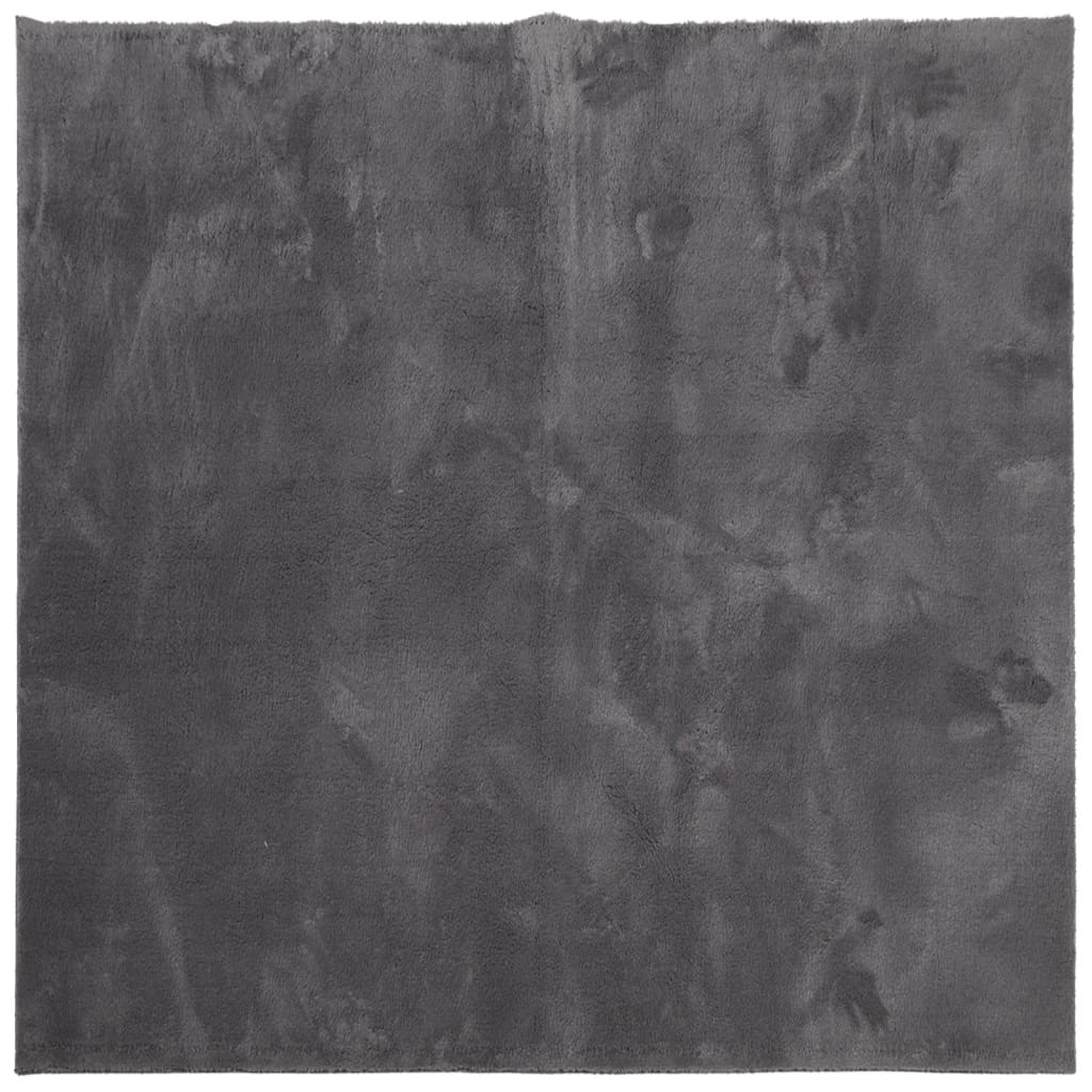 Vaip HUARTE, lühikese narmaga, pestav, antratsiit, 200x200 cm