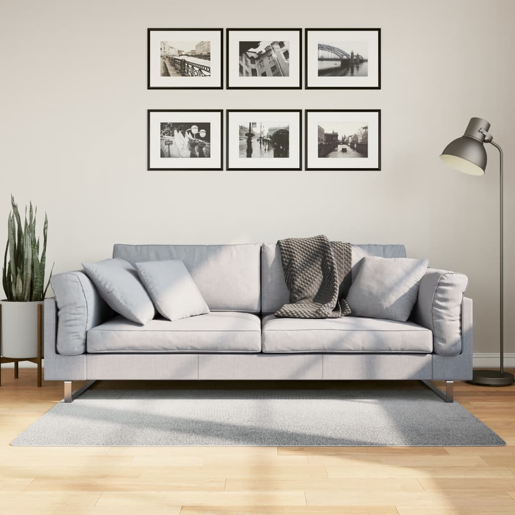 Vaip IZA, lühikese narmaga, Skandinaavialik, hall, 80x150 cm