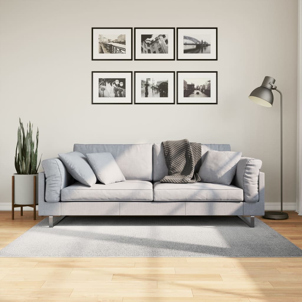 Vaip IZA, lühikese narmaga, Skandinaavialik, hall, 120x170 cm