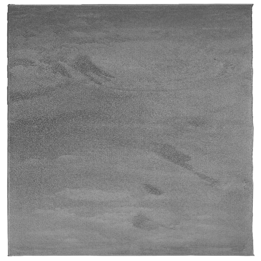 Vaip "OVIEDO" lühikese narmaga, antratsiithall, 240 x 240 cm