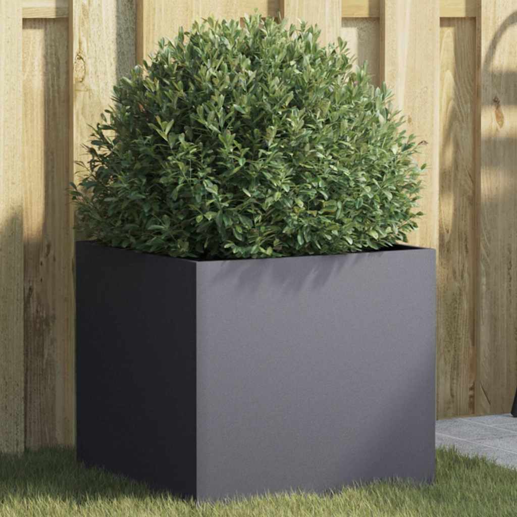 Taimekast antratsiithall 42x40x39 cm, teras