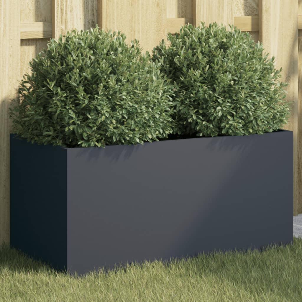 Taimekast antratsiithall 62x30x29 cm, teras