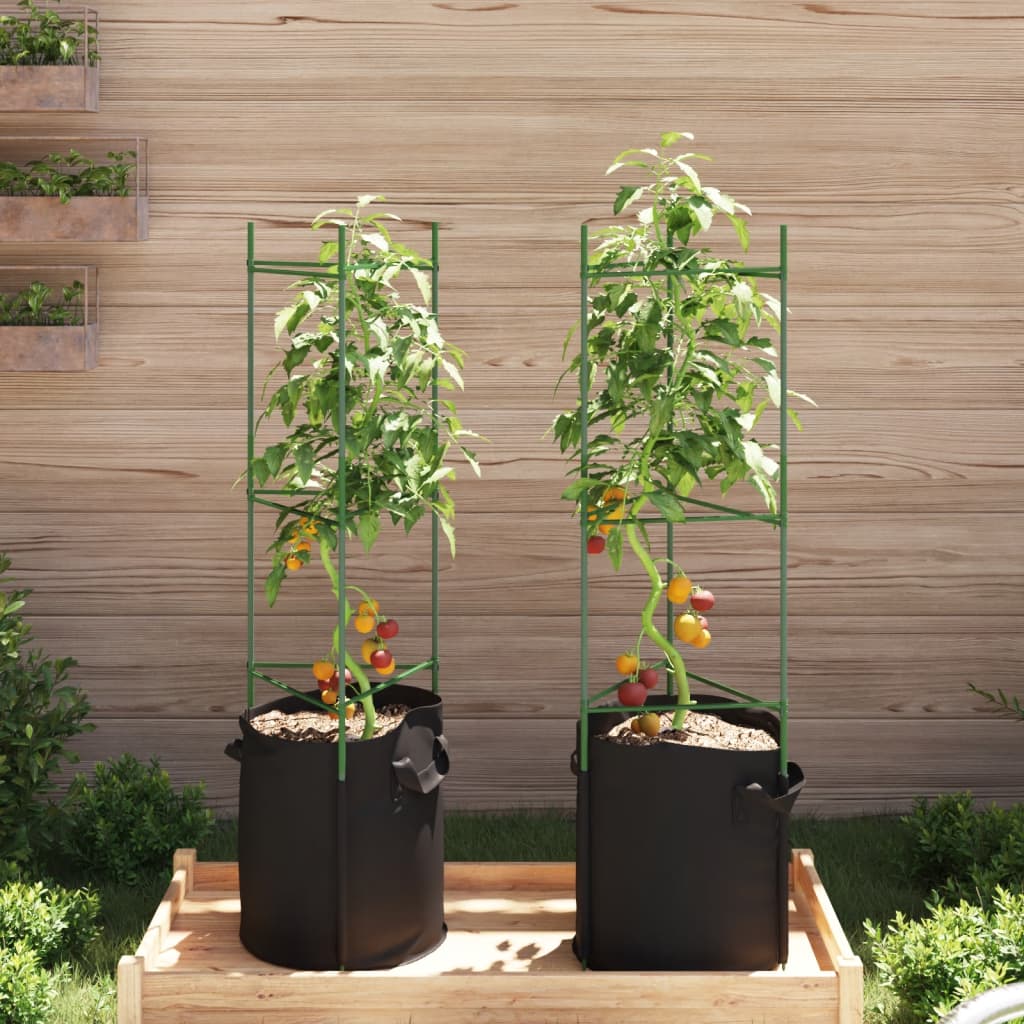 Tomatitaime tugi koos taimekotiga 2 tk, 116 cm, teras ja PP