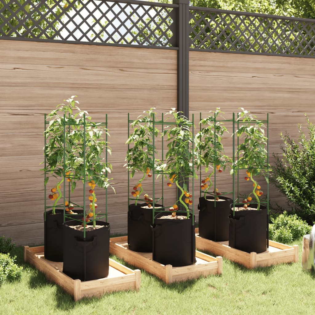 Tomatitaime tugi koos taimekotiga 6 tk, 116 cm, teras ja PP