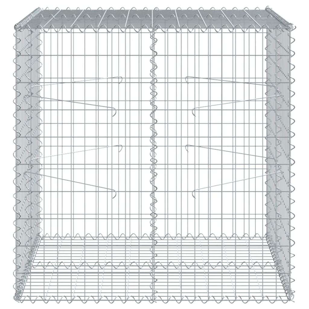 Kaanega gabioonkorv, 100x100x100 cm, tsingitud raud