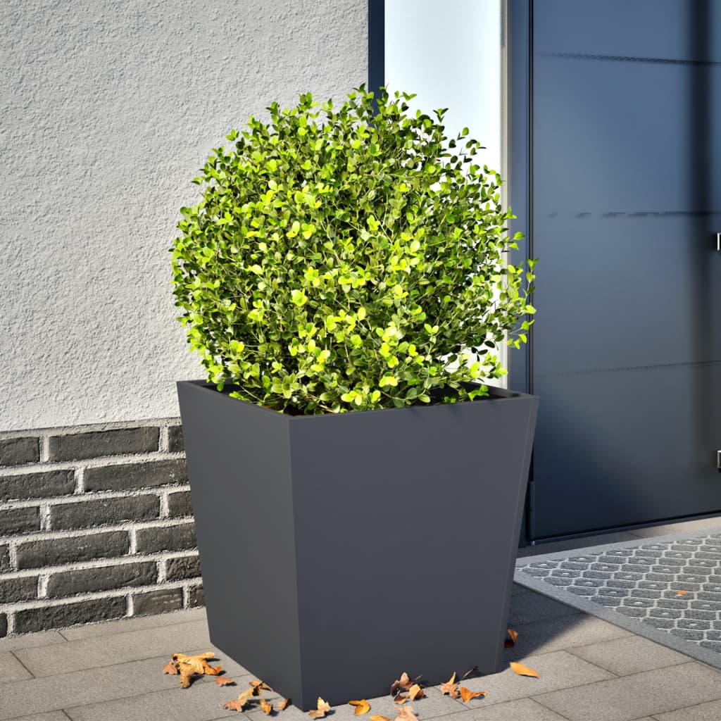 Aia taimekast, antratsiithall, 50 x 50 x 50 cm, teras