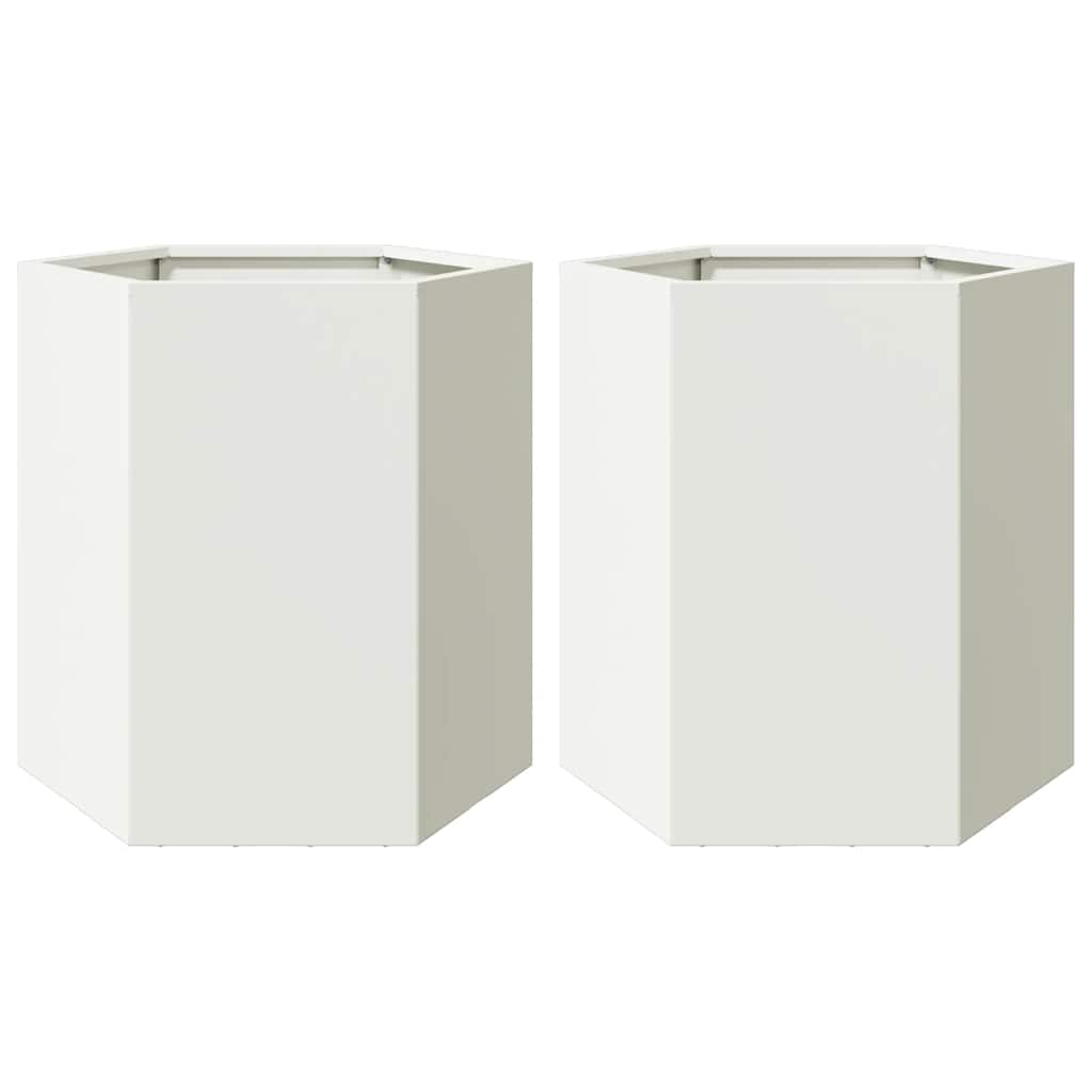 Aia taimekastid 2 tk, valge, kuusnurkne, 46x40x45 cm, teras
