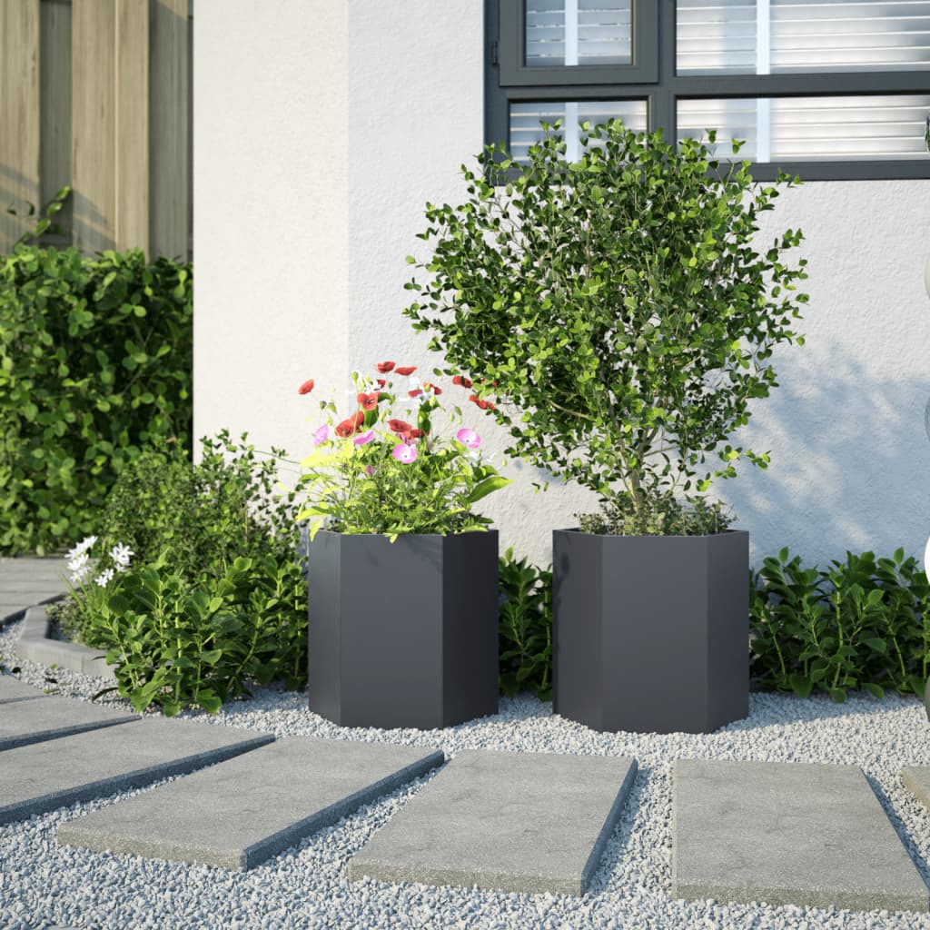 Aia taimekastid 2 tk, must, kuusnurkne, 46x40x45 cm, teras
