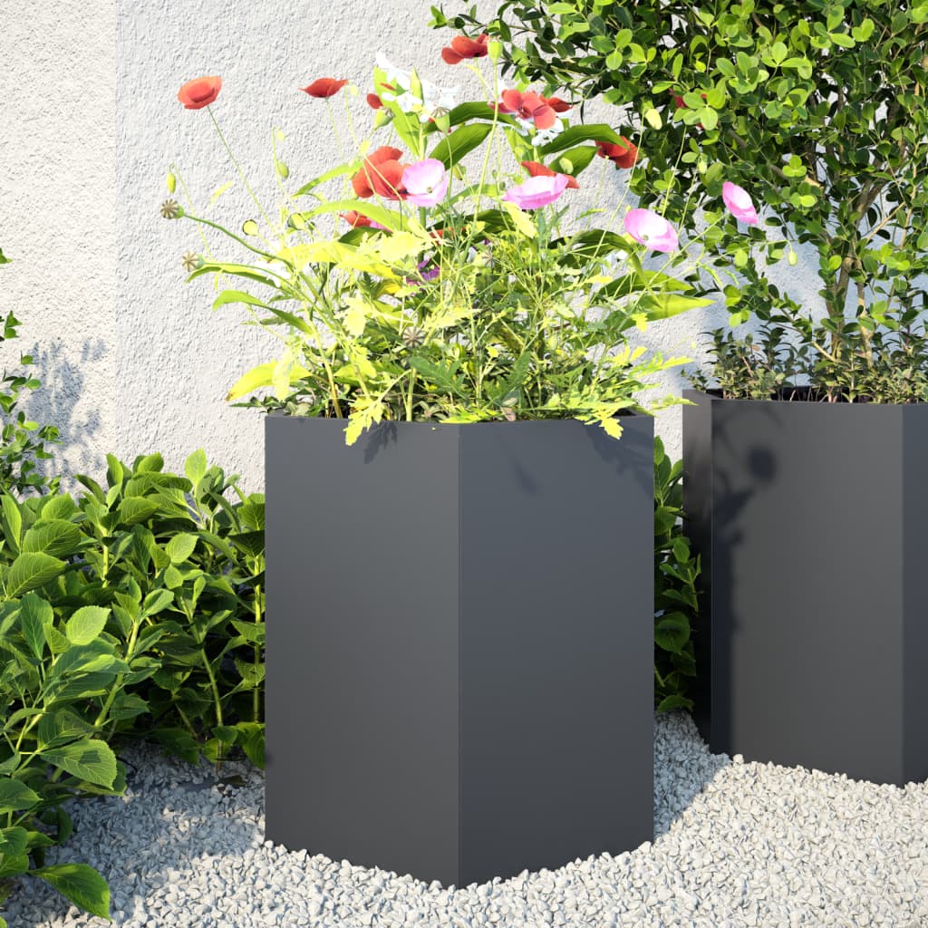 Aia taimekastid 2 tk, must, kuusnurkne, 46x40x45 cm, teras