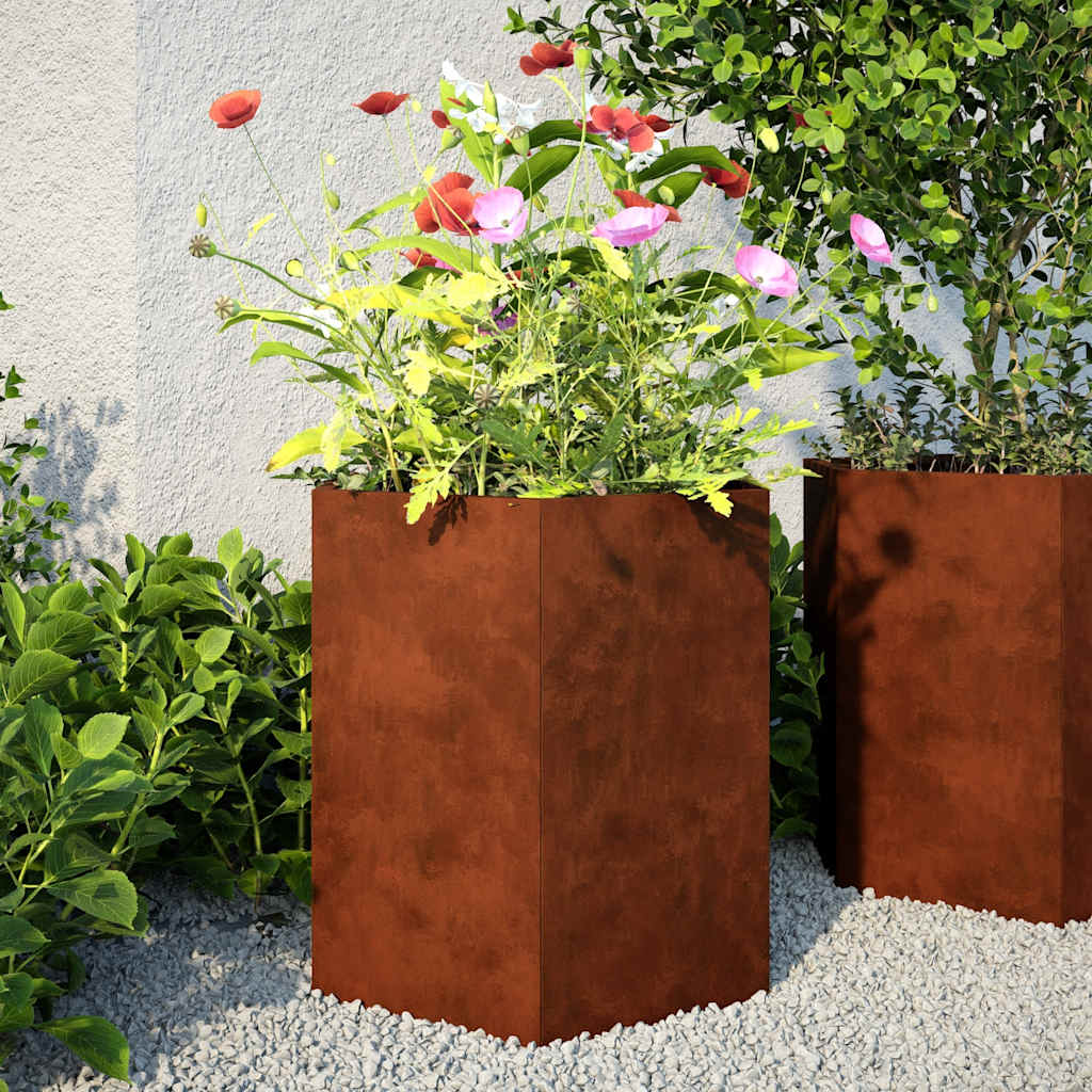 Aia taimekastid 2tk kuusnurkne 46x40x45cm ilmastikukindel teras