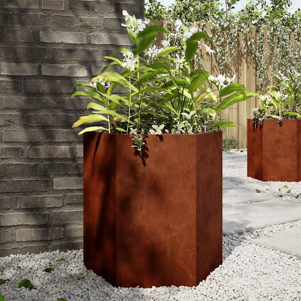 Aia taimekastid 2tk kuusnurkne 46x40x45cm ilmastikukindel teras