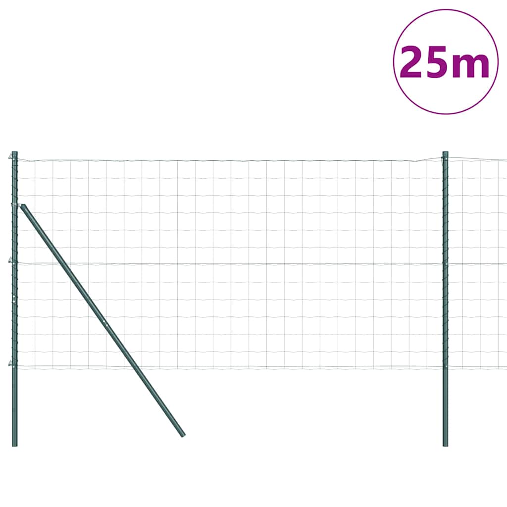 Euro Aia Põhja Kinnitus 25 x 1 m PVC-kaetud teras Roheline Võrk