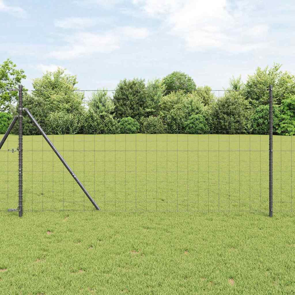 Euro Aia Põhja Kinnitus 10 x 1 m PVC-kaetud teras Hall Võrk