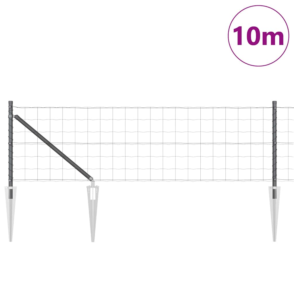Euro Aed Okastega 10 x 0,8 m PVC-kaetud teras Hall Võrk