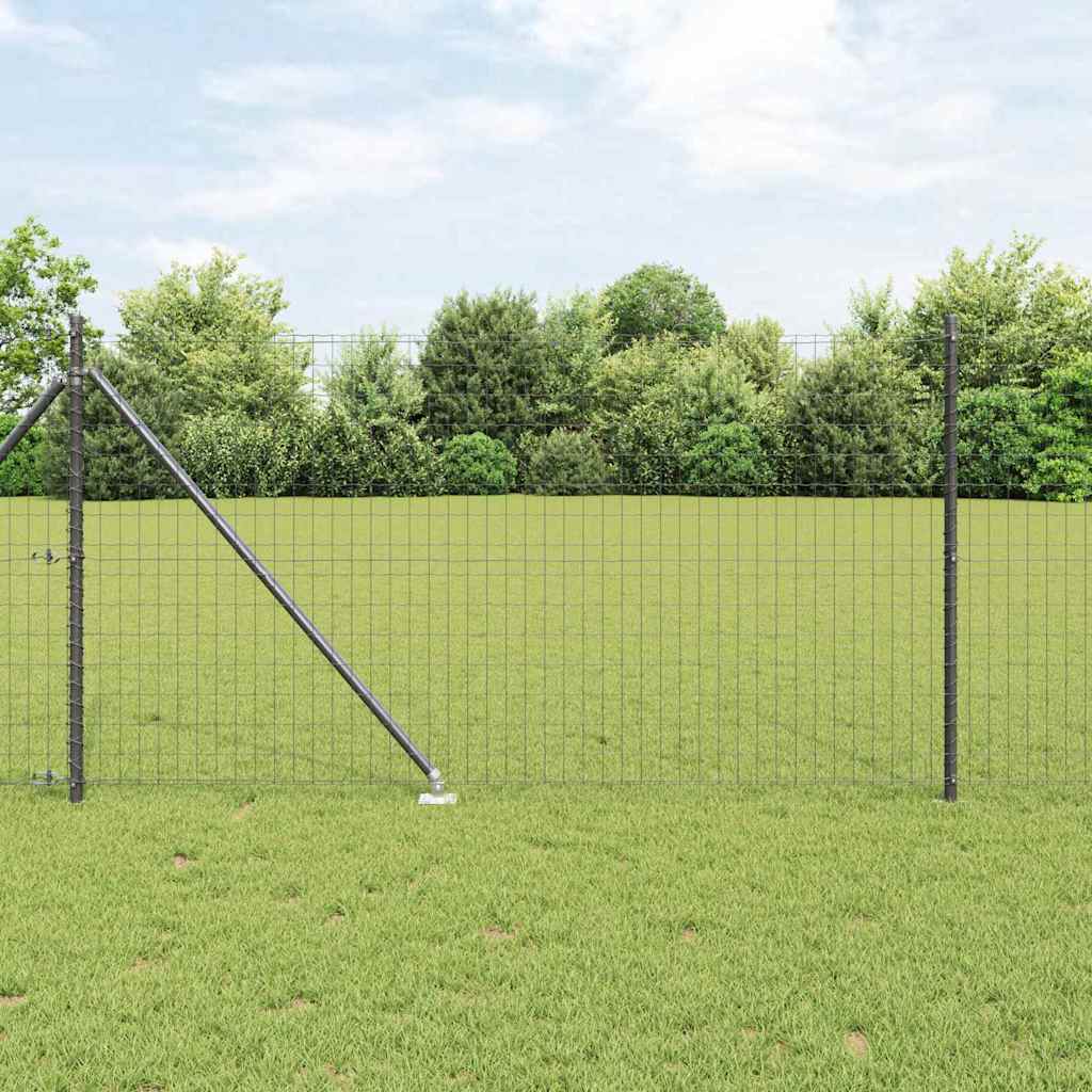 Euro Aiaklambrid Nokkadega 25 x 1 m PVC-kaetud teras Hall Võrk
