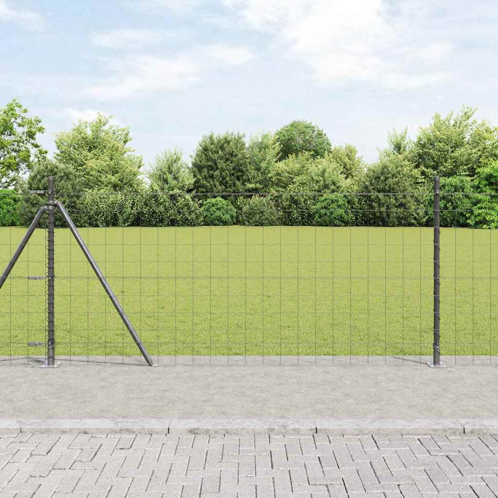 Euro Aiandus Betoon Alusel 25 x 1 m PVC-kaetud teras Hall Võrk