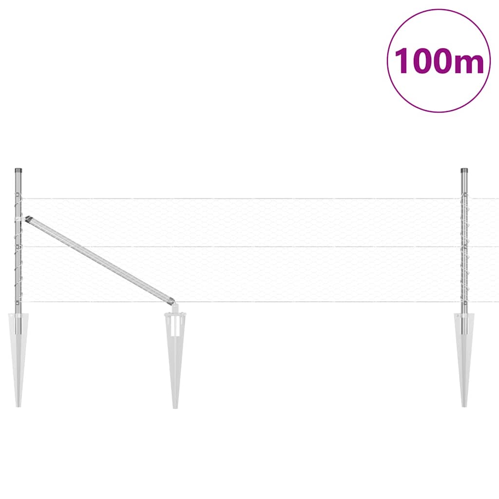 Kuusnurkne aed koos posti 100 x 0,8 m Hõbedane Võrk