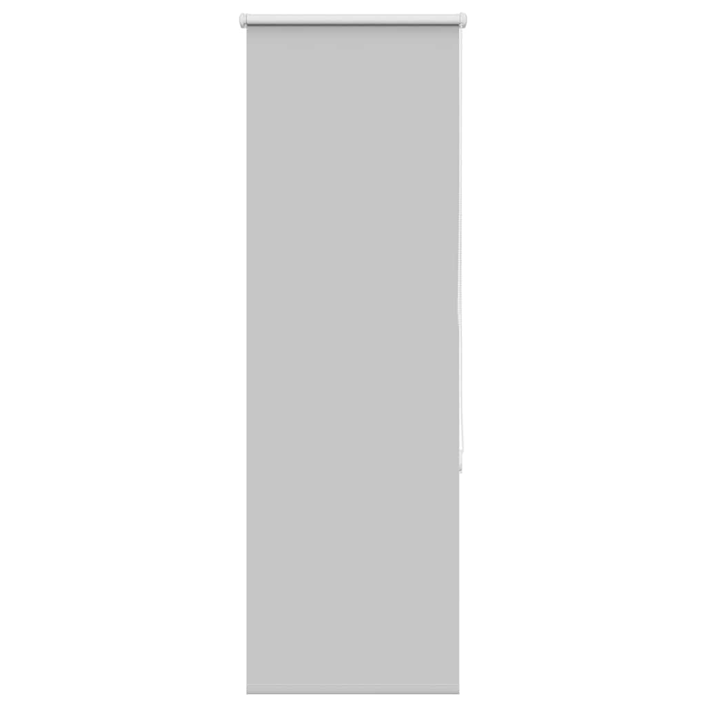 Pimendav ruloo helehall 50x130 cm kanga laius 45,7 cm polüester