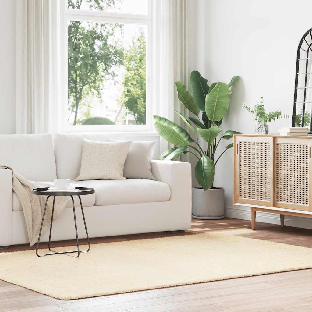 Kõrge narmaga Shaggy vaip, NAVARRA, kreemjas, 160x230 cm