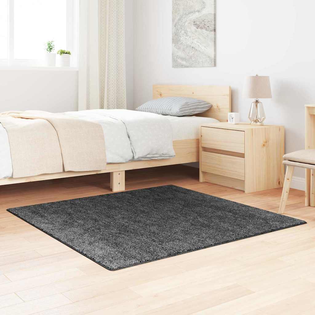 Libisemisvastane Shaggy Vaip Tumehall 120 x 120 cm PP
