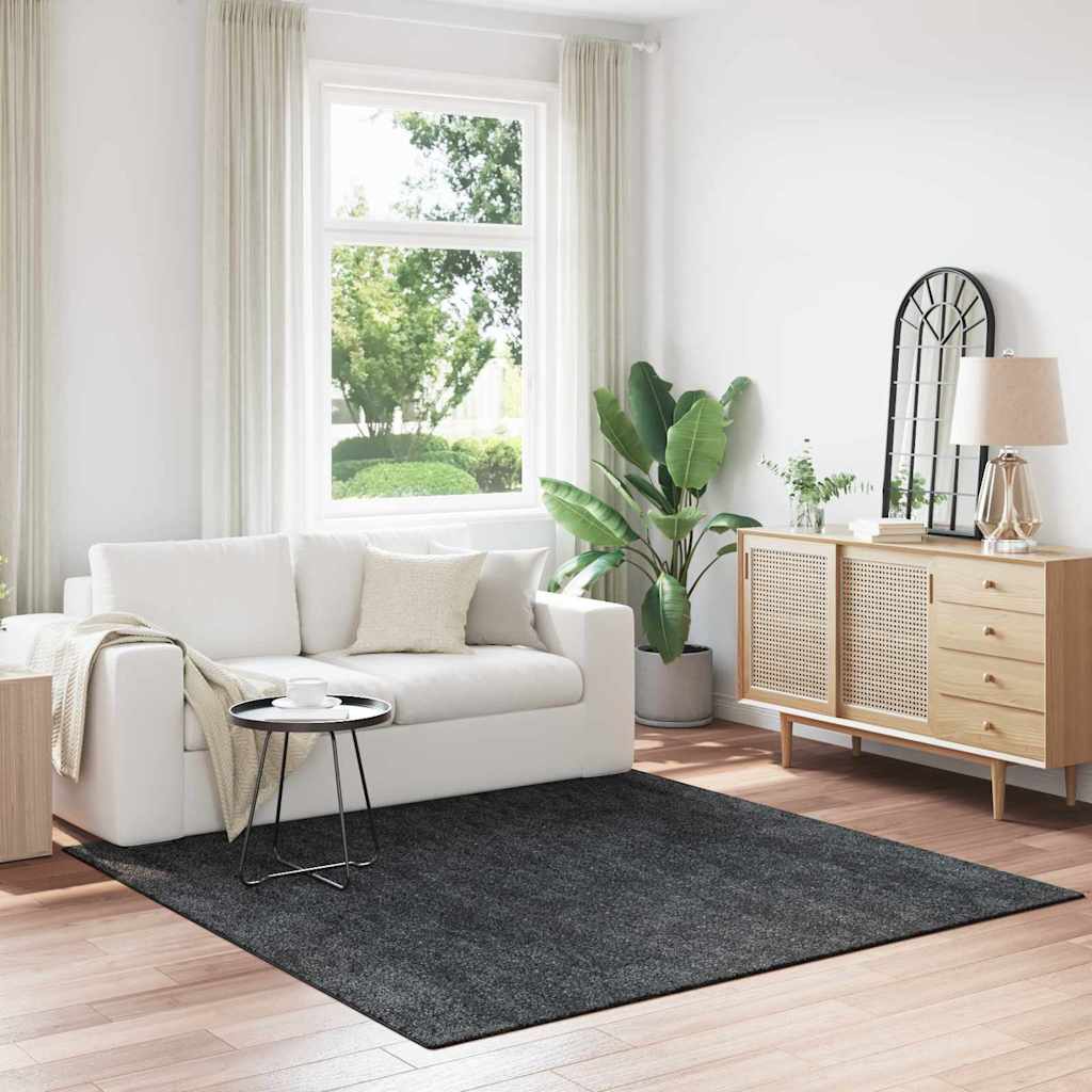 Libisemisvastane Shaggy Vaip Tumehall 200 x 200 cm PP
