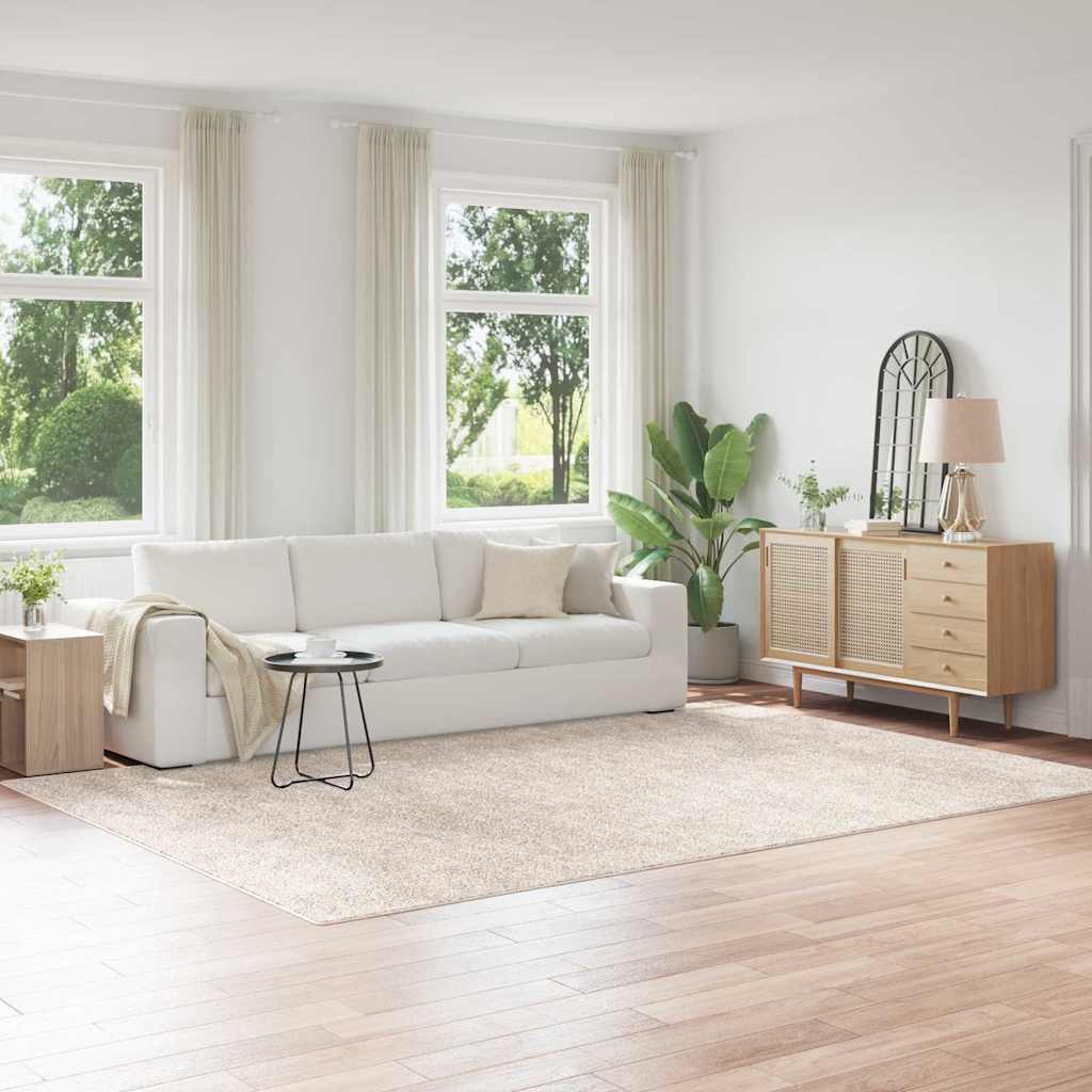 Libisemisvastane Shaggy Vaip Kreemjas 240 x 340 cm PP