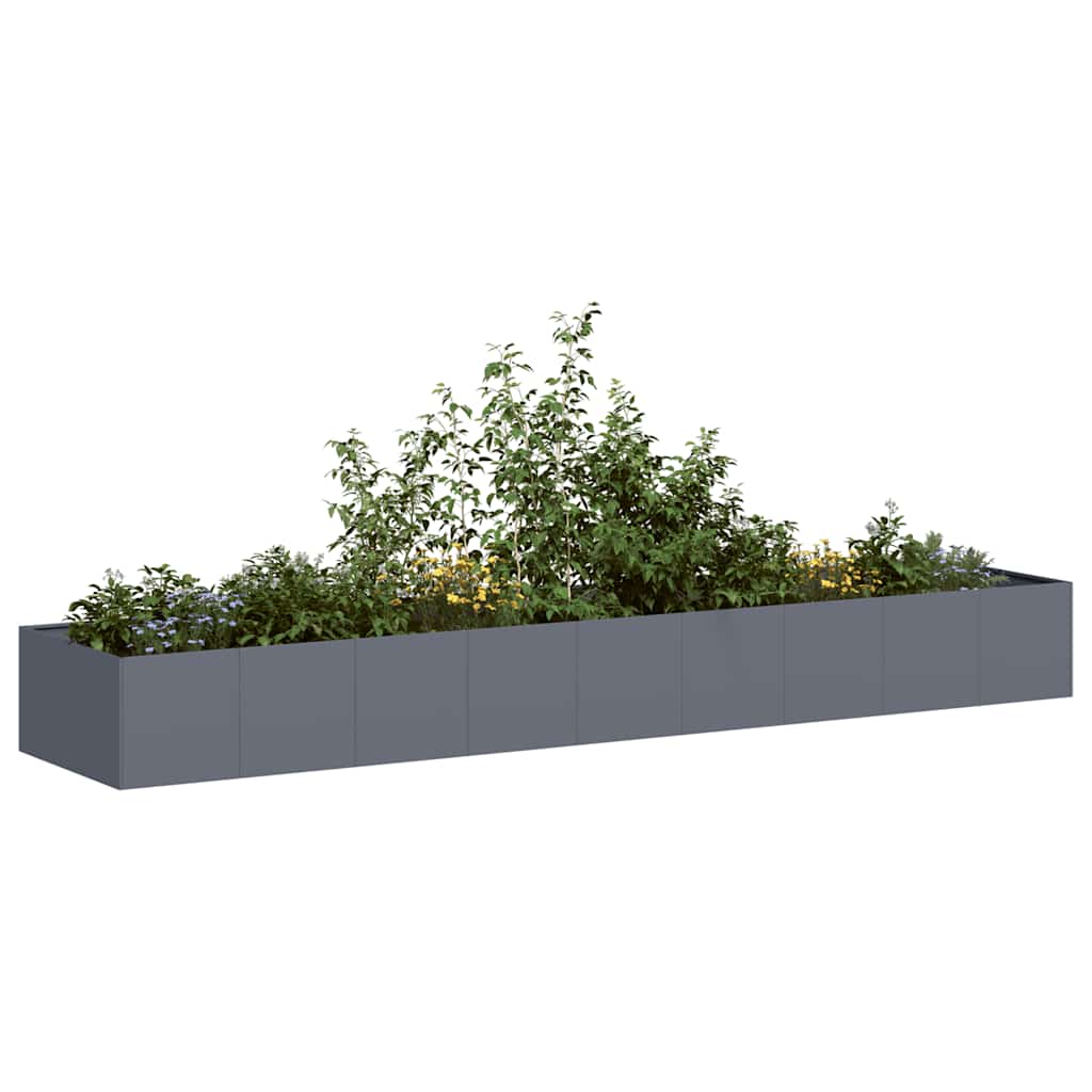 Taimekast antratsiithall 360x80x40 cm, teras