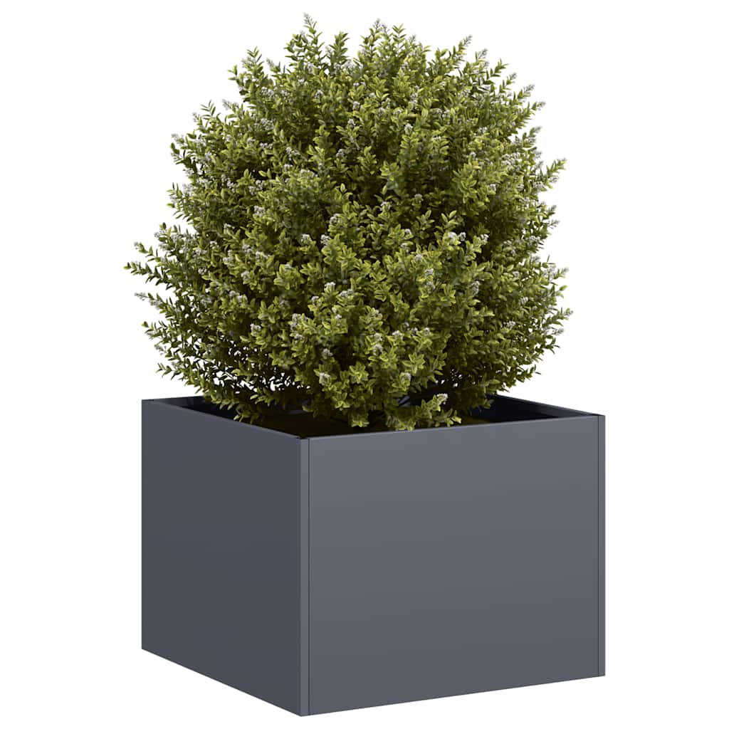Taimekast antratsiithall 40x40x30 cm, teras