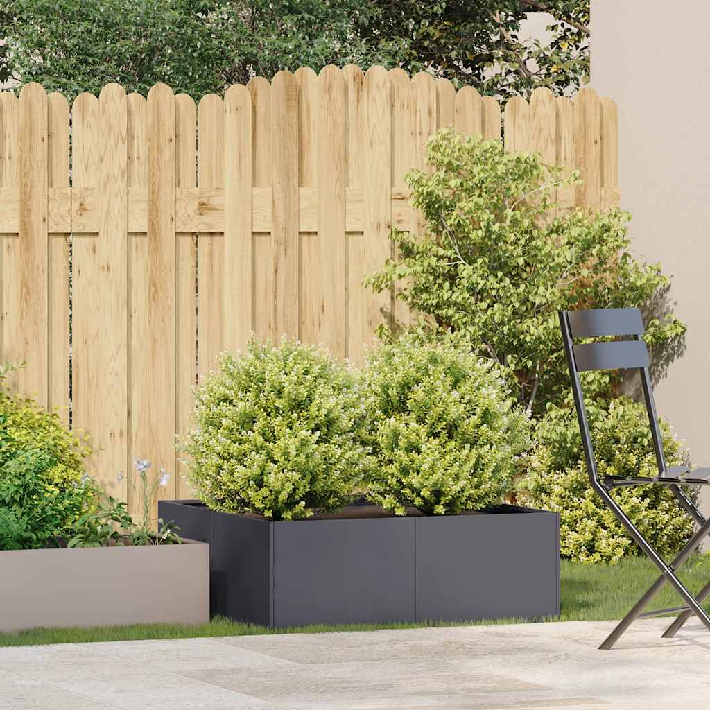 Taimekast antratsiithall 80x80x30 cm, teras