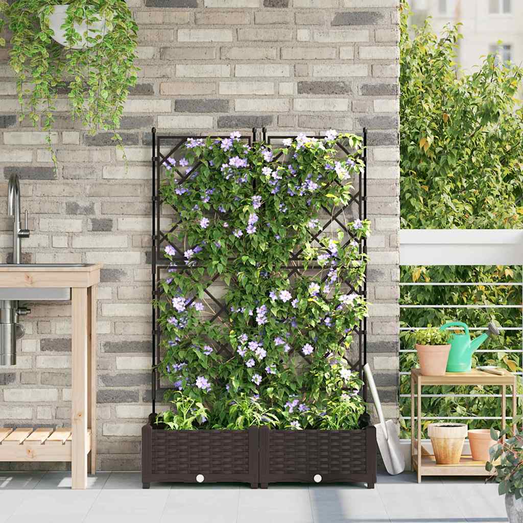 Aia istutuspot 2 tk Pruun 80 x 40 x 125,5 cm PP