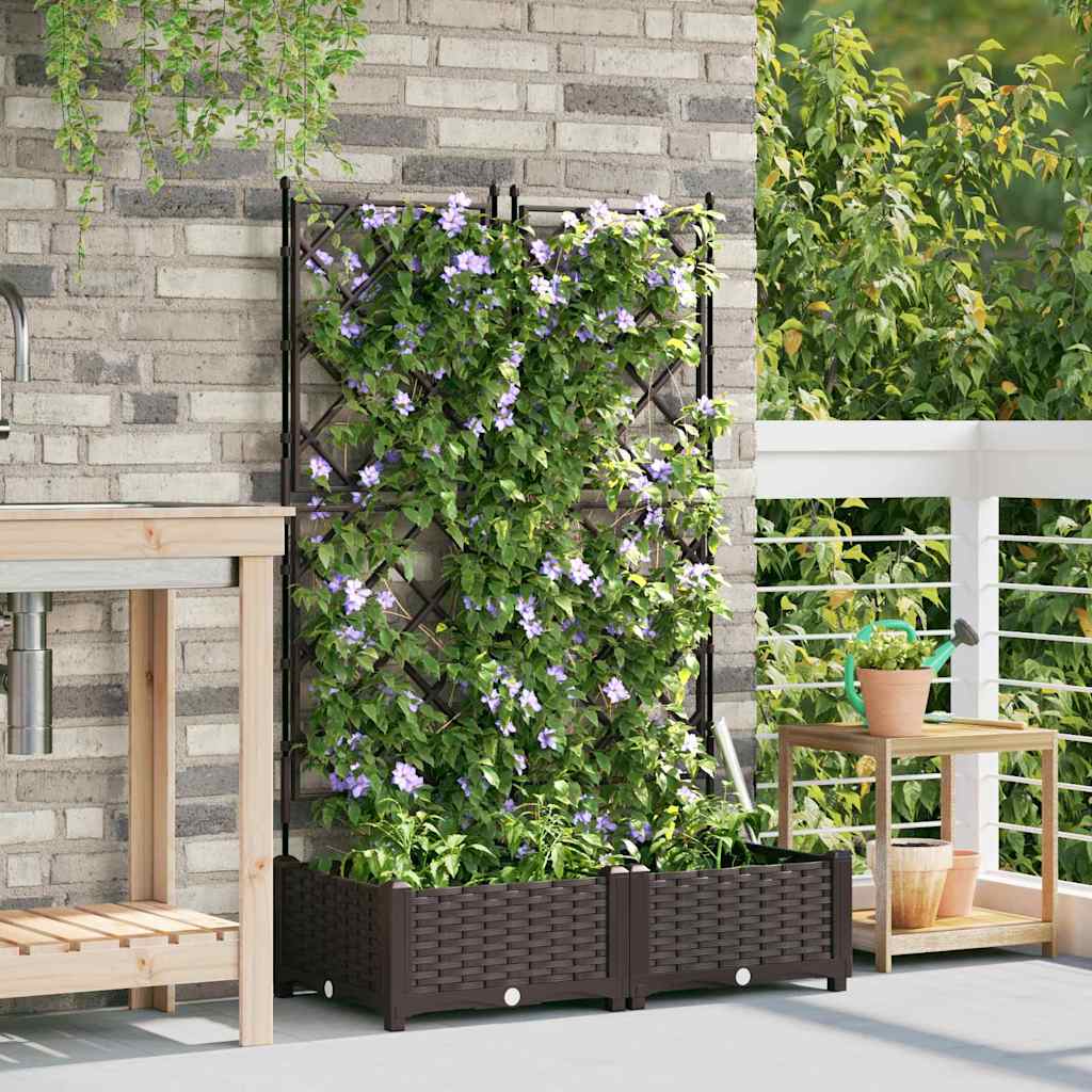 Aia istutuspot 2 tk Pruun 80 x 40 x 125,5 cm PP