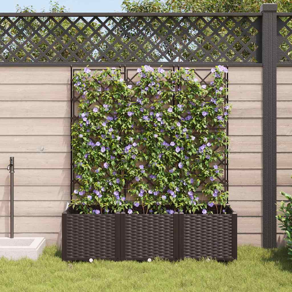 Aia istutuspot 3 tk Pruun 120 x 40 x 143 cm PP