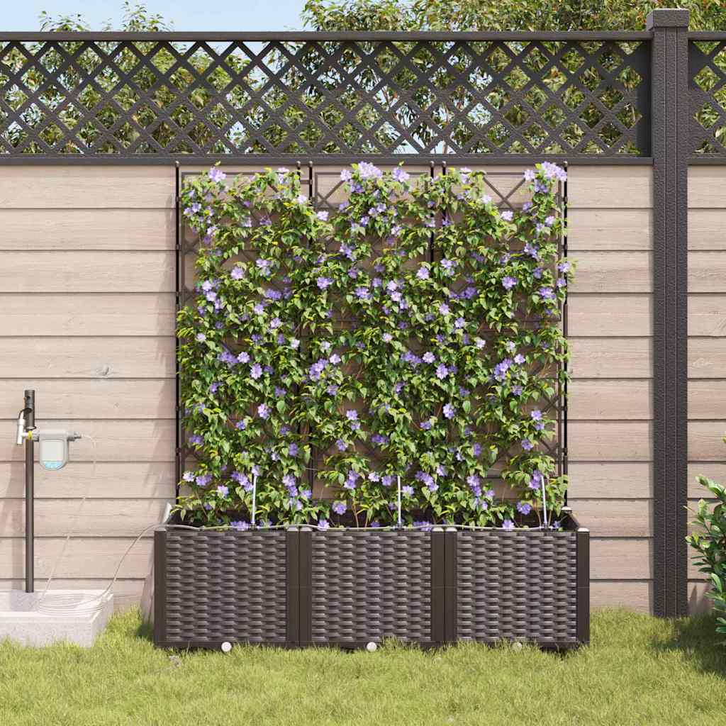 Aia istutuspot 3 tk Pruun 120 x 40 x 142 cm PP