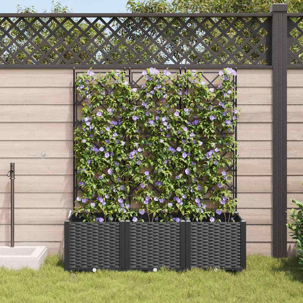 Aia istutuspot 3 tk Must 120 x 40 x 143 cm PP